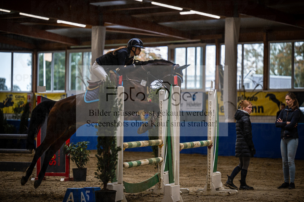 DOS_2460 | Entdecke hochwertige Reitturnierfotos von Foto Oger. Professionell, emotional und authentisch – jetzt Lieblingsmomente im Shop bestellen.Deutschlandweite Turnierfotografie. - Realisiert mit Pictrs.com