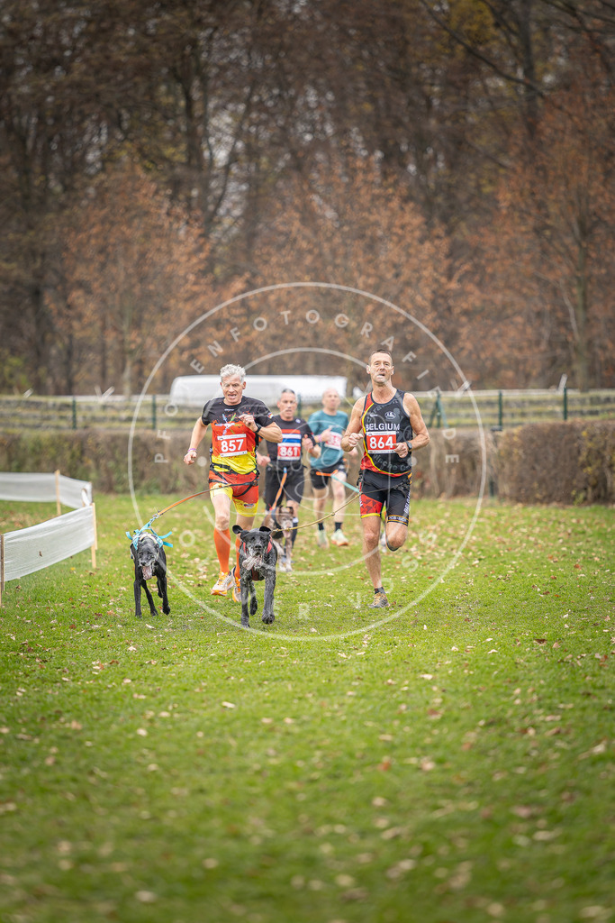 CaniXpix_DV3A6670 | Hundefotografie, Tierfotograf, Pfotenfotografie, Fotoshooting Hund, Hunde Portrait, Hundesport, Hundeportraits, Heideshooting, Hunde, Sportfotograf, Hundefotograf, Turnierhundsport, THS,  - Realisiert mit Pictrs.com