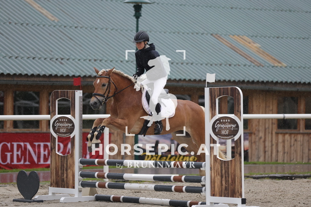 0P6A7641 | Willkommen bei Brunnmayr - Design & Fotografie – Ihrem Spezialisten für Reitturniere und Pferdeveranstaltungen in Oberösterreich, Salzburg und Bayern! Seit über 17 Jahren sind wir leidenschaftlich dabei.
