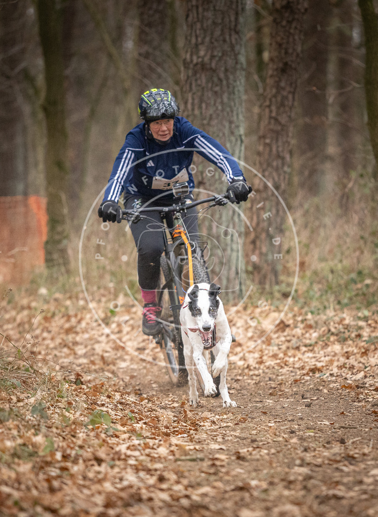 Pfotenfotografie_DV3A5363 | Hundefotografie, Tierfotograf, Pfotenfotografie, Fotoshooting Hund, Hunde Portrait, Hundesport, Hundeportraits, Heideshooting, Hunde, Sportfotograf, Hundefotograf, Turnierhundsport, THS,  - Realisiert mit Pictrs.com