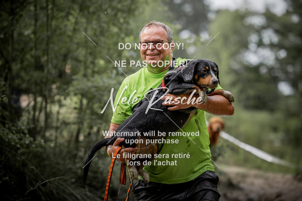 nelerasche_so0800-0930_167 | nelerasche