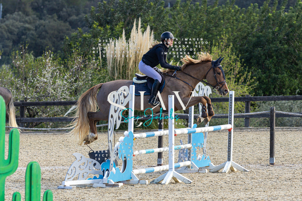 IMG_5149 | s-jay-photography - Realisiert mit Pictrs.com