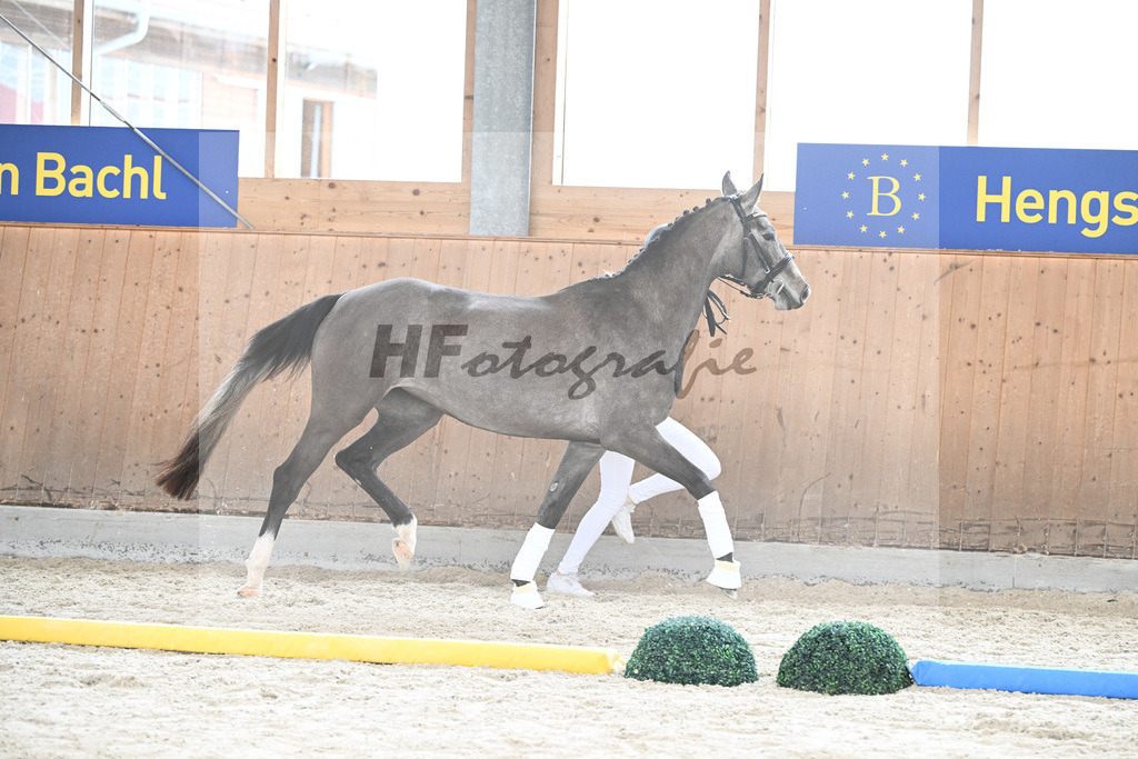 Kat-Nr. 66 Daytona v. Christ_Hoffmann_7241301 | hf-fotografie - Realisiert mit Pictrs.com