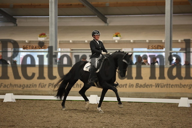 Waghäusel-Wiesental_2024_Prfg.Nr.08_1.WP_U25_Sandrine Lieb_Dark Diamond 75 (6) | Alle Fotos der Reiterjournal Fotografin Doris Matthaes im Reiterjournal Online-Fotoshop. - Realisiert mit Pictrs.com