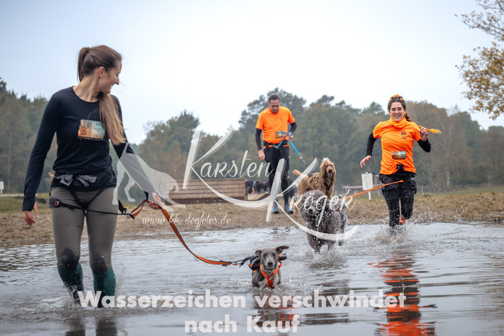 1102_ZZ92531 | kk-dogfotos