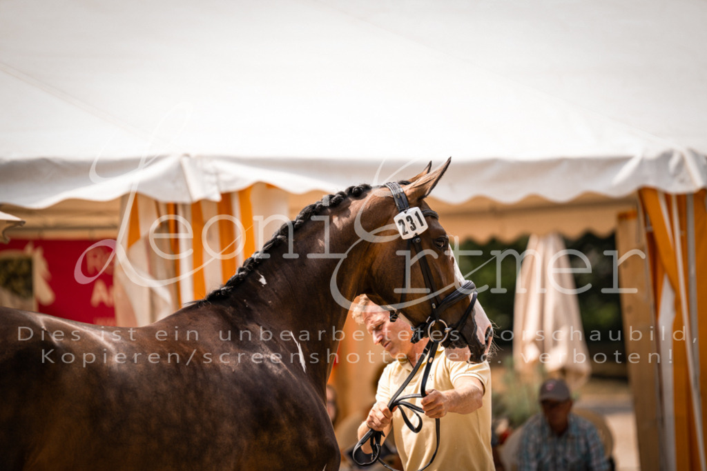 2. Fr00158 | Leoni Ertmer Photography - Realisiert mit Pictrs.com