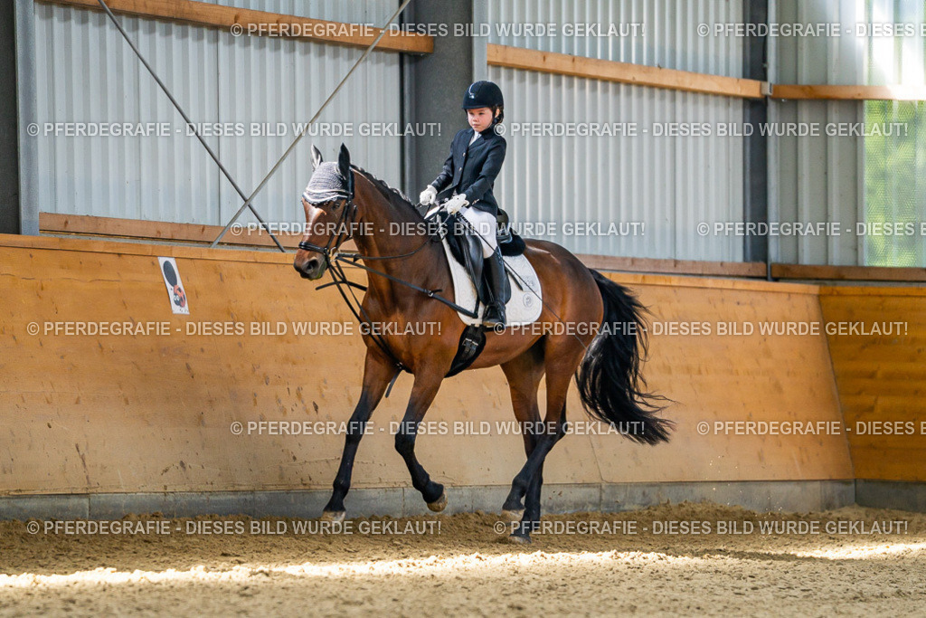 DSC02593 | Pferdegrafie