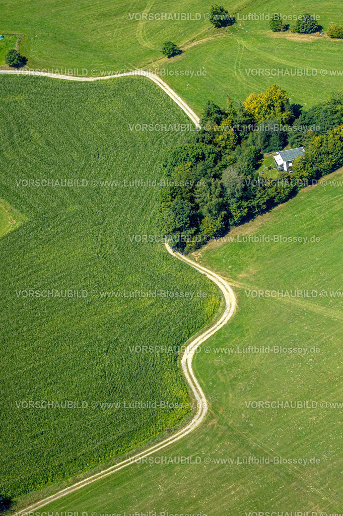Kierspe250813212 | Luftbild, geschwungener Weg zu einem Waldstück in Dörscheln, Formen und Farben,Elbringhausen, Kierspe, Sauerland, Nordrhein-Westfalen, Deutschland
