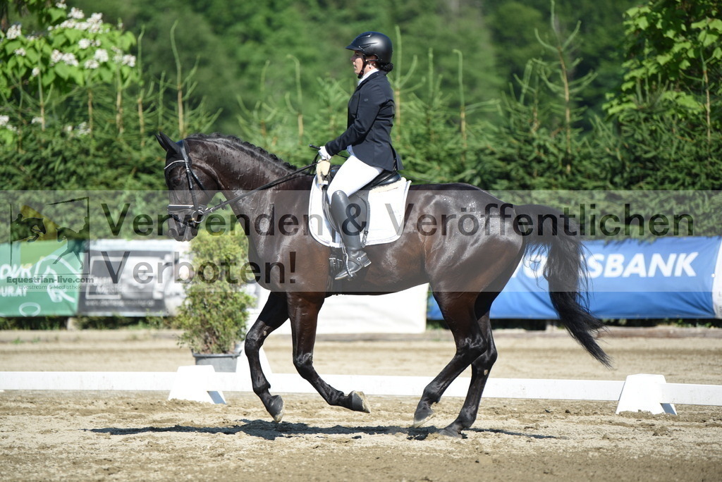 DSC_7516 | equestrian-live-com