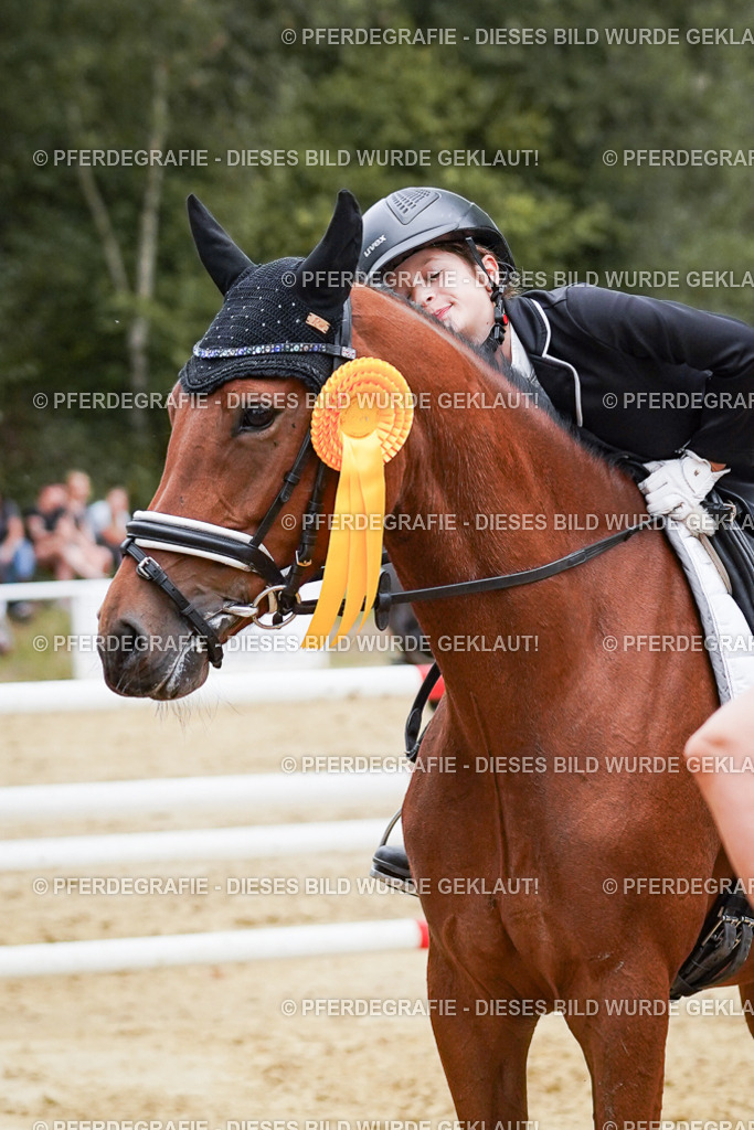 DSC06072 | Pferdegrafie