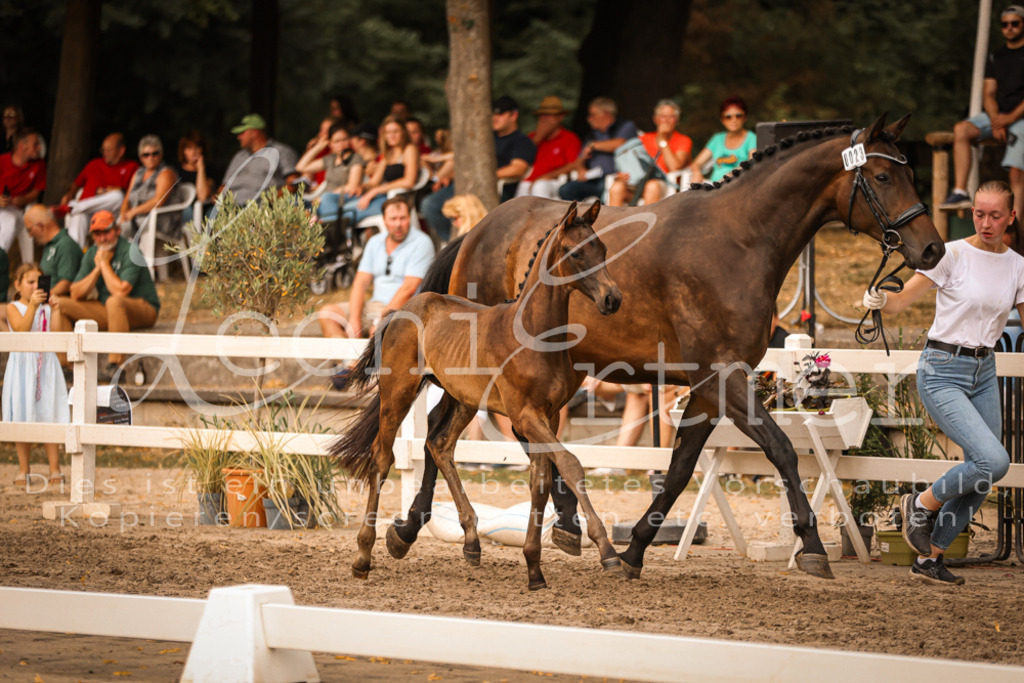 SaPA00321 | Leoni Ertmer Photography - Realisiert mit Pictrs.com