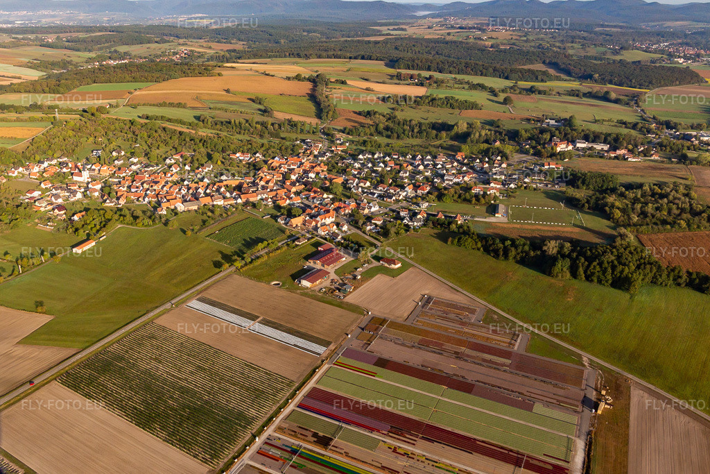 Vue aérienne: Ferme Brandt Arbogast Morsbronn à Morsbronn-les-Bains dans le département Bas Rhin, France. Photo: IMG_139207.jpg prise le 01/10/2023 par Werner Riehm/FLY-FOTO.eu – Résolution de l'original: 4873 x 3249 px – WWW.FERME-BRANDT.FR