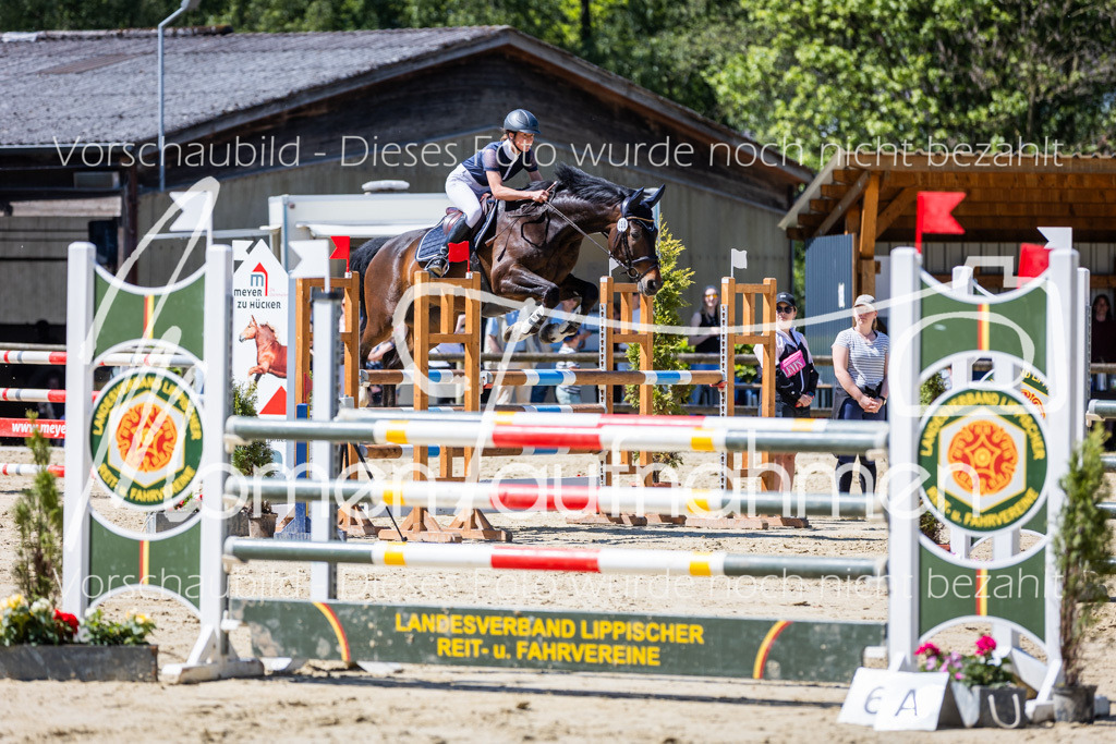 Donop24-L-Spr-020 | MomenTaufnahmen Pferdesportfotos
