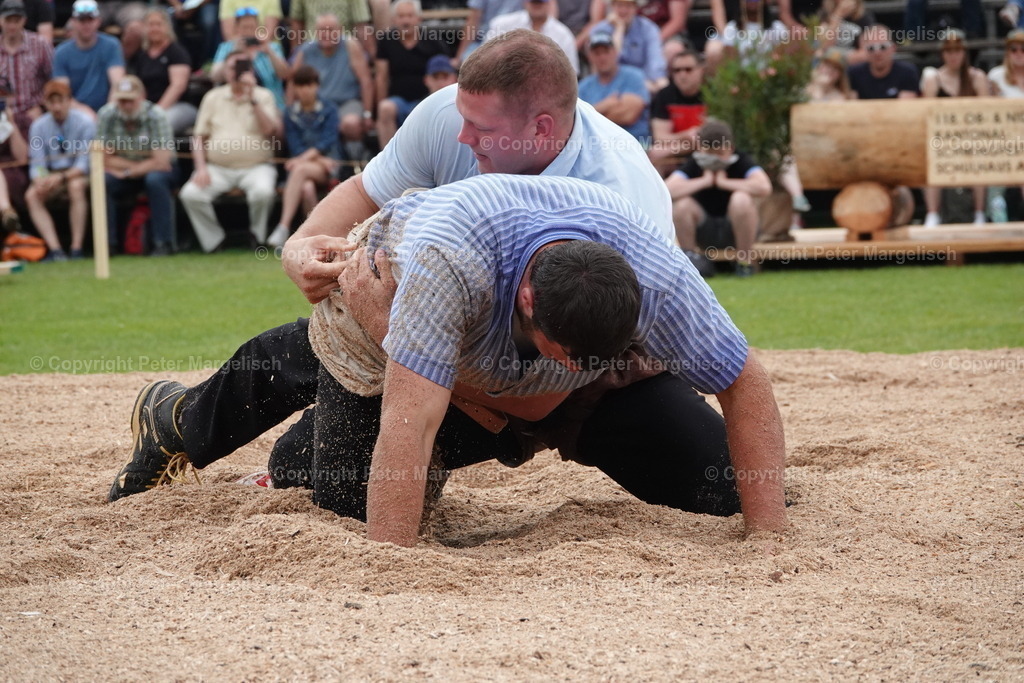 DSC04657 | Schwingen - Realisiert mit Pictrs.com