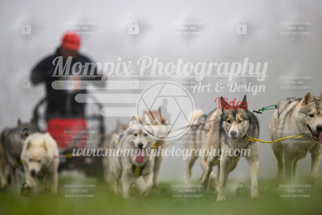 MompixPhotography_CDF2023_FFST_Di_Kart-100 | PayLife
