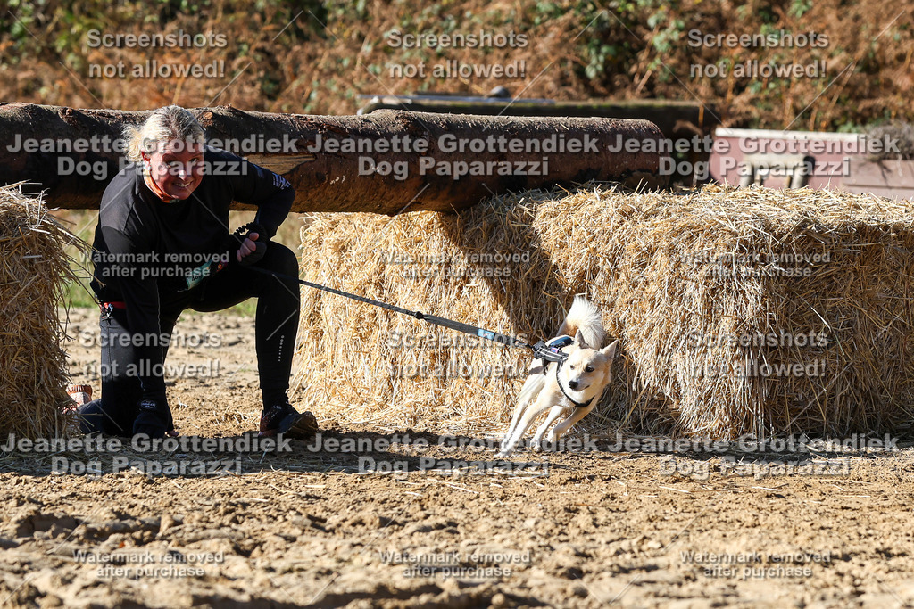 Dog Paparazzi - Strongdog 10-25-2791 | Dog Paparazzi Jeanette Grottendiek Fotografie & Videografie - Realisiert mit Pictrs.com