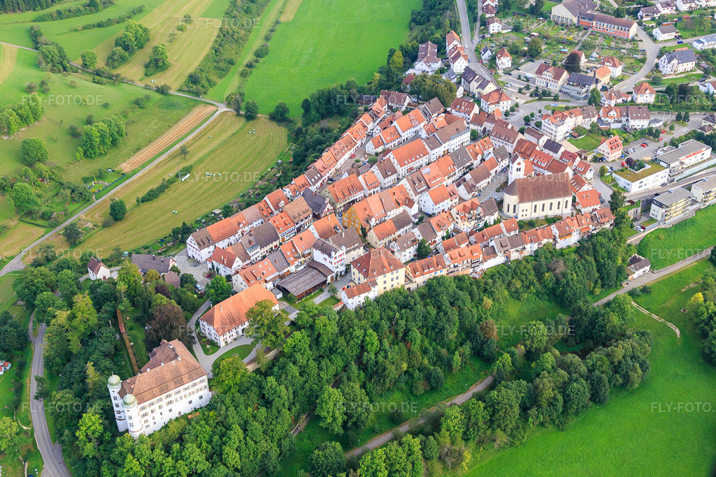 Luftbild: Schloss Mühlheim (Hinteres Schloss) und Vorderes Schloss Mühlheim sowie Kirche St. Maria Magdalena in Mühlheim an der Donau im Bundesland Baden-Württemberg in Deutschland.Foto: IMG_102724.jpg vom 25.08.2017 durch Werner Riehm/FLY-FOTO.de– Mühlheim an der DonauWWW.SE-DONAU-HEUBERG.DE