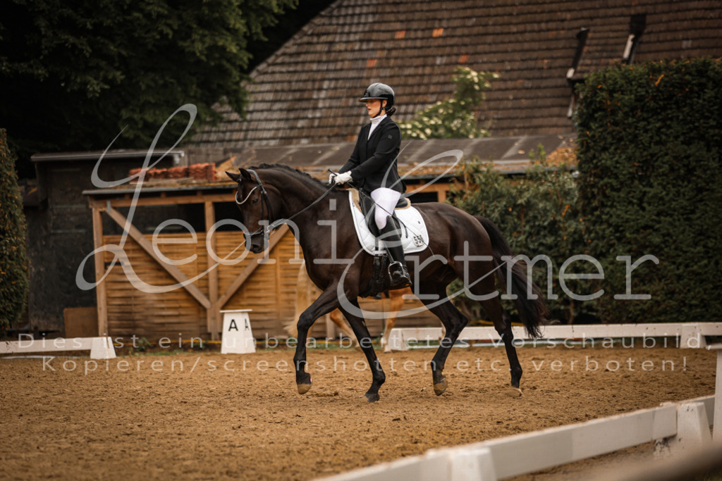 DoDrA200037 | Leoni Ertmer Photography - Realisiert mit Pictrs.com