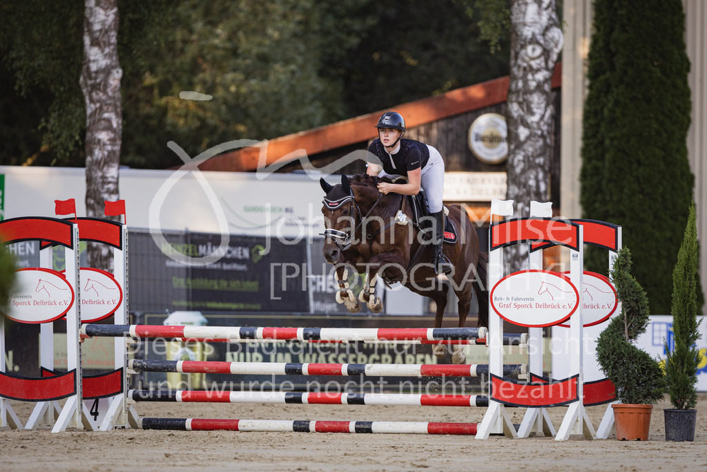 230823_Delbrueck_Stil-A1-175 | Deine schönsten Turniermomente als professionelle Fotos! Entdecke hochwertige Pferdesport-Fotografie im Online-Shop. Jetzt Fotos finden & bestellen!