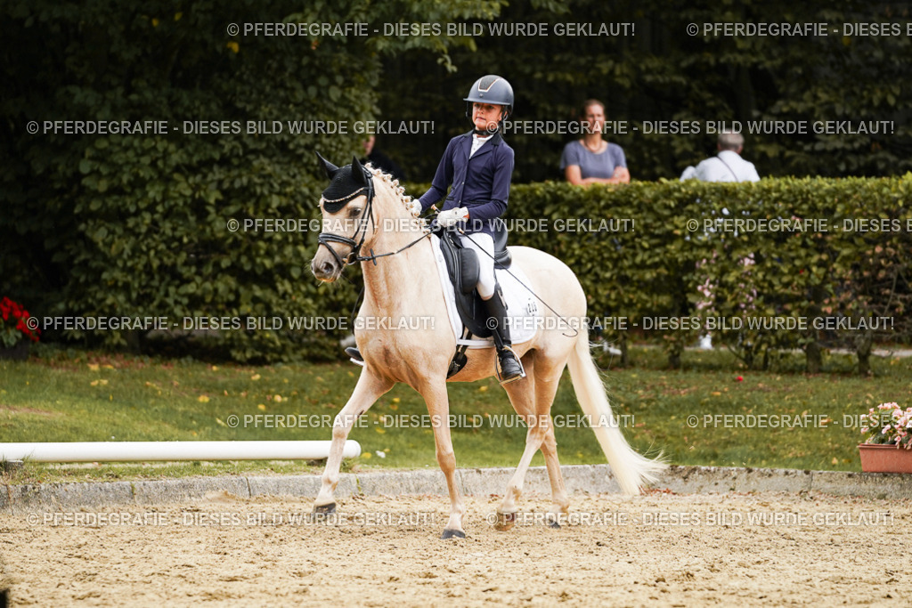 DSC00348 | Pferdegrafie