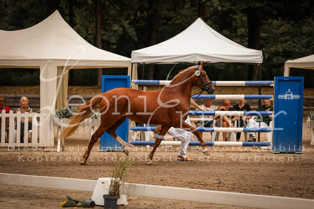 10.-12.Elite00008 | Leoni Ertmer Photography - Realisiert mit Pictrs.com