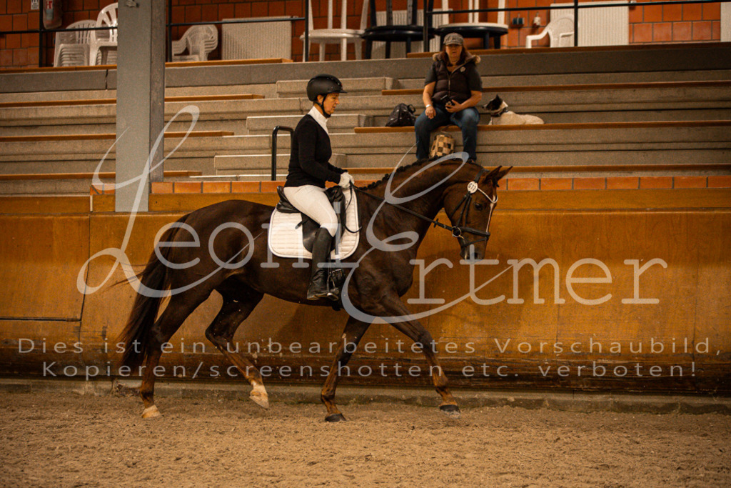 2Reiten00131 | Leoni Ertmer Photography - Realisiert mit Pictrs.com