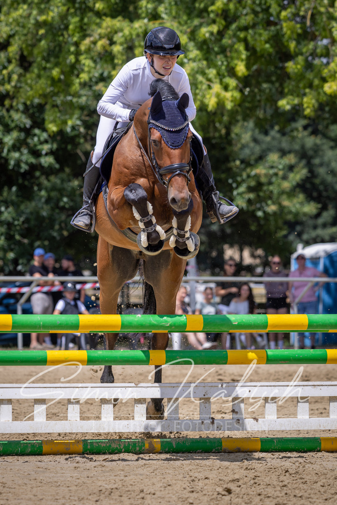 20260704-_3LI9773 | Tierfotografie Pferde, Hunde, Katzen, Haustiere.
Turnierfotografie Reitturniere, Reiten, Springreiten, Dressur in Hanau, dem Main-Kinzig-Kreis und dem Rhein-Main- Gebiet um Frankfurt