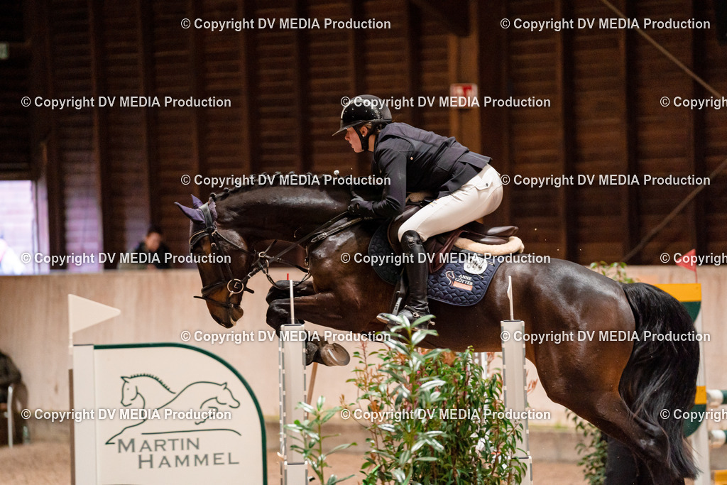 Springen Tag 1-387 | dv-media-shop - Realisiert mit Pictrs.com