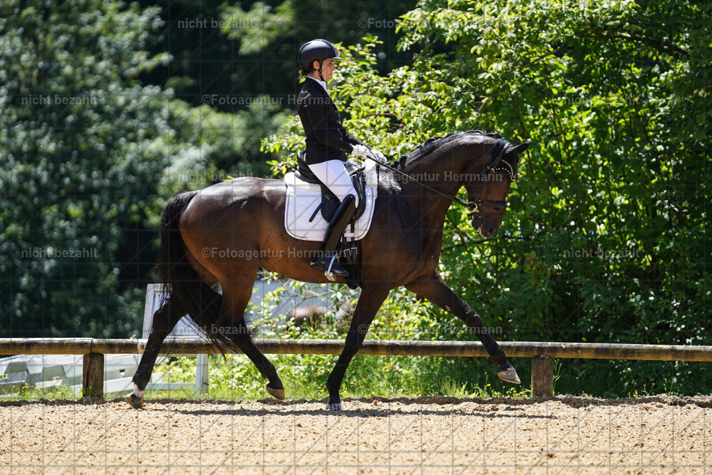 20240705-FAH03625 | Turnierbilder von Grafing, Reitsportbilder, Turnierfotos, Turnierfotografen Bayern, Pferdefotograf, Fotoagentur Herrmann