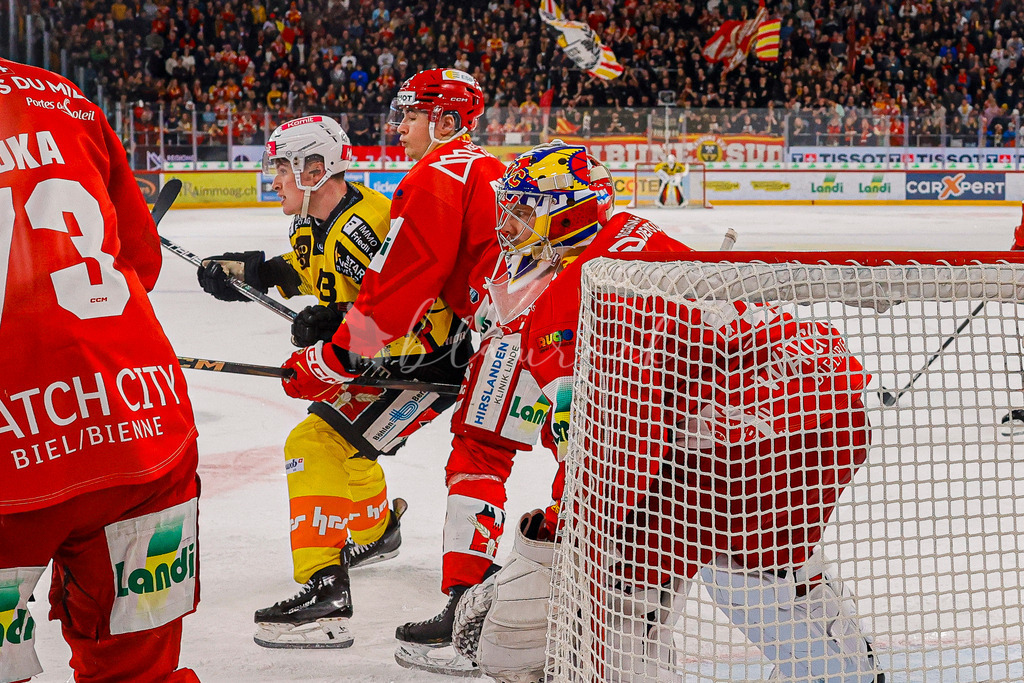 EHCB vs SCB 20260110_wb-3652 | Sportbilder, Sportfotograf, Hochzeits- und Eventfotografin, Flugshows, Portraits und Tiershooting, Aviation, Downhill, Nationalleague, Swissleague, International