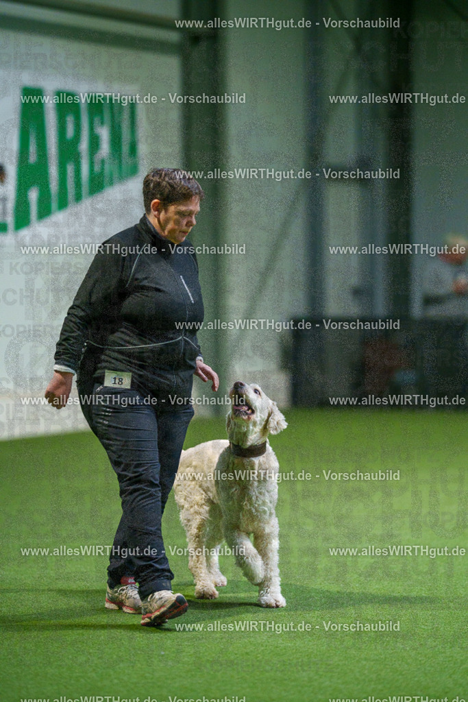 7R500812 | Professionelle Tierfotografie in Mönchengladbach von Daniel Wirth (allesWIRTHgut). Liebevolle & natürliche Bilder von Hunden & Katzen für unvergessliche Erinnerungen.