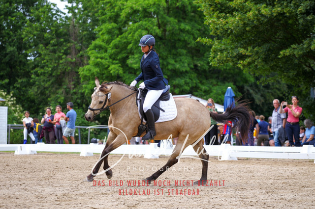 DKP46289 | Turnierfotos kaufen im Webshop von Daniel Kuhl Photography – entdecke professionelle Reitsportfotos aus Turnieren & Events. Hochwertige Turnierbilder online bestellen & sichern. Jetzt Fotos von Reitsportturnieren kaufen!
