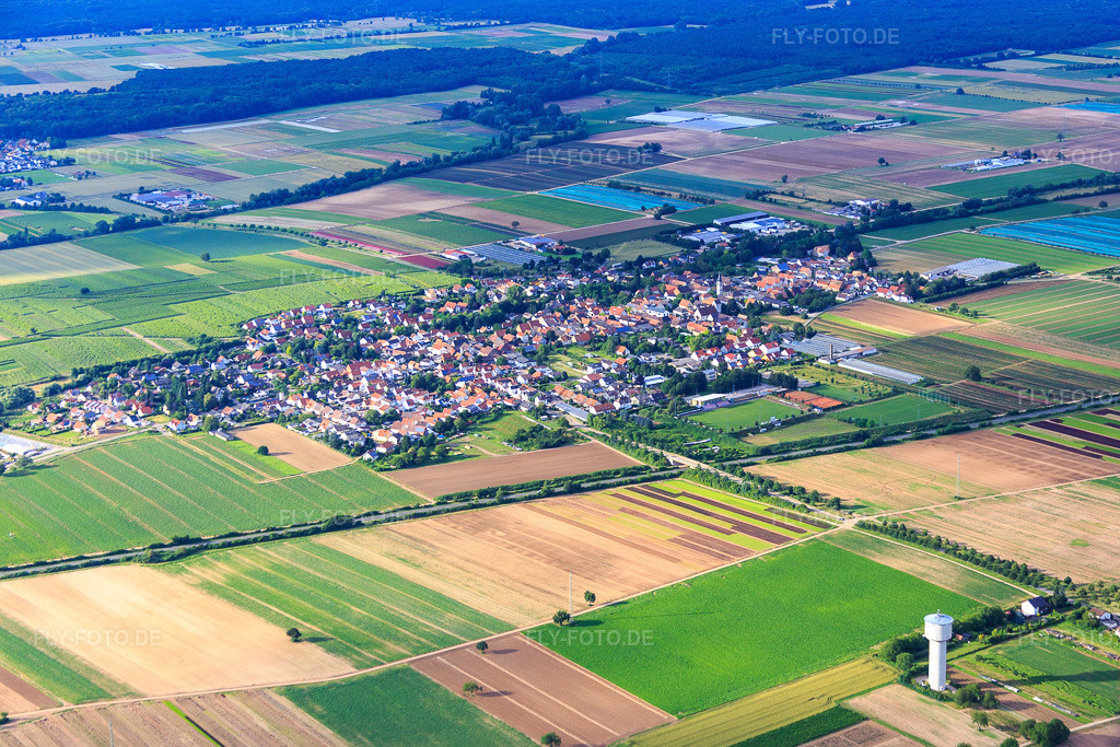 Luftbild: Ortsübersicht aus Südwesten jenseits der B272 in Weingarten im Bundesland Rheinland-Pfalz in Deutschland. Foto: IMG_090062.jpg vom 26.06.2016 durch Werner Riehm/FLY-FOTO.de