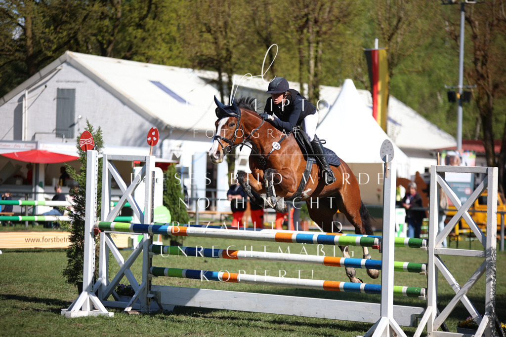 IMGT0398 | pl-fotografie