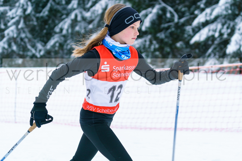 Thüringer Meisterschaften Biathlon - Scheibe-Alsbach | Scheibe-Alsbach am 28. + 29. Januar 2023