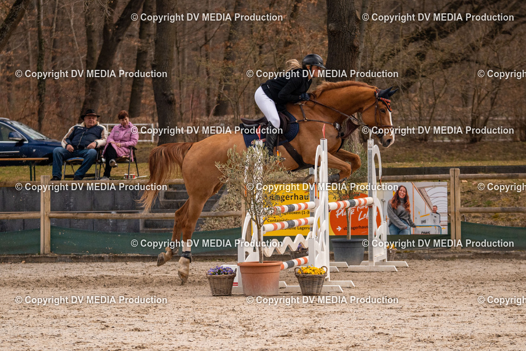 Kranichstein Tag 2-1290 | dv-media-shop - Realisiert mit Pictrs.com