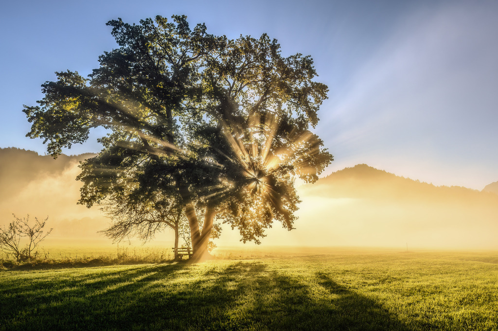 RRF_8425-HDR-Bearbeitet | Fotografie die berührt. - Realisiert mit Pictrs.com