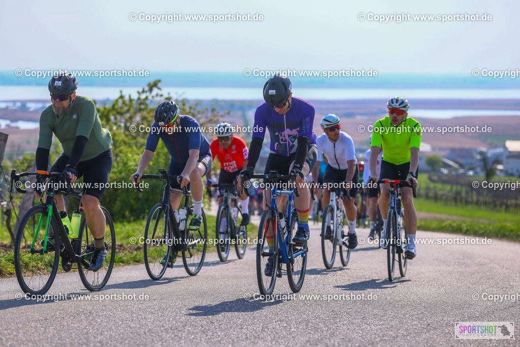TRA_0770 | Neusiedlersee Radmarathon 2026@sportshot_your_pictrs #yourpictures#roadtowm2029 #nrm #neusiedlerseeradmarathon #neusiedlersee #neusiedlerseetourismus #burgenland #mörbisch #nrm26 #burgenlandtourismus #voglundco #poweredbyburgenlandtourismus #radsport #rad #marathon #ucigranfondo #visitburgenland #ucigranfondoworldseries