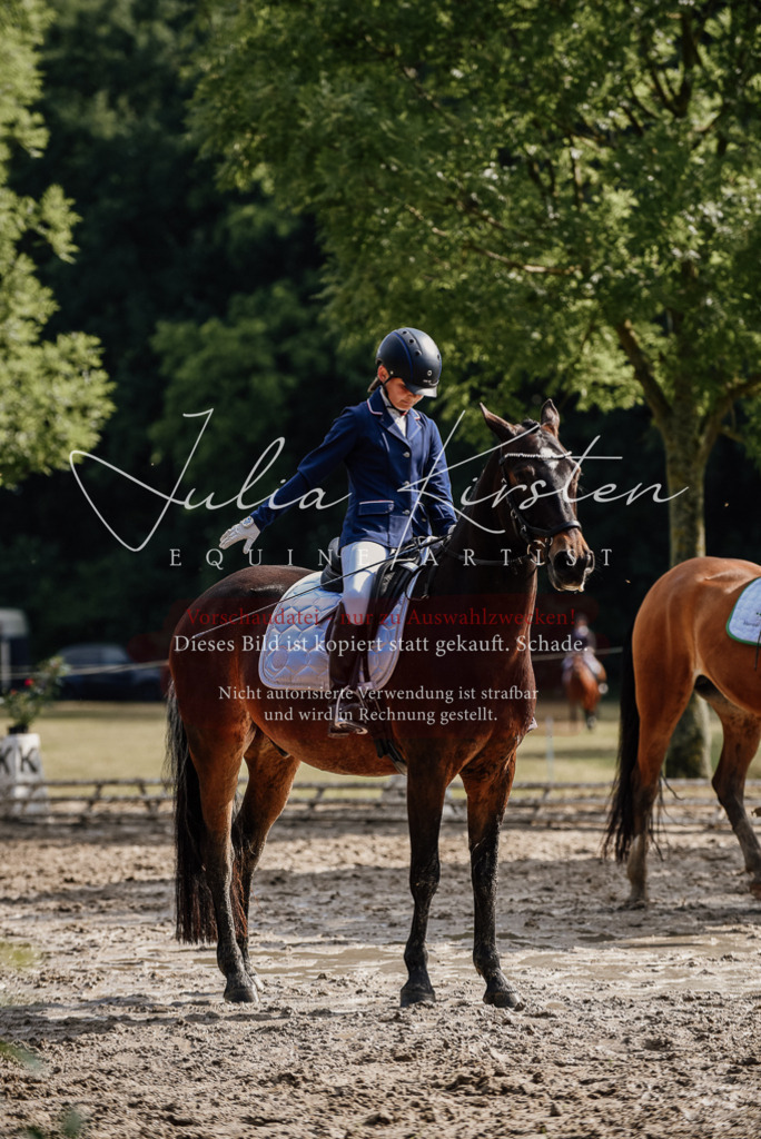 DSC_9190 | Pferde- und Turnierfotografie in Westsachsen. Pferdeportraits, Auftragszeichnungen und intuitive Kunst.