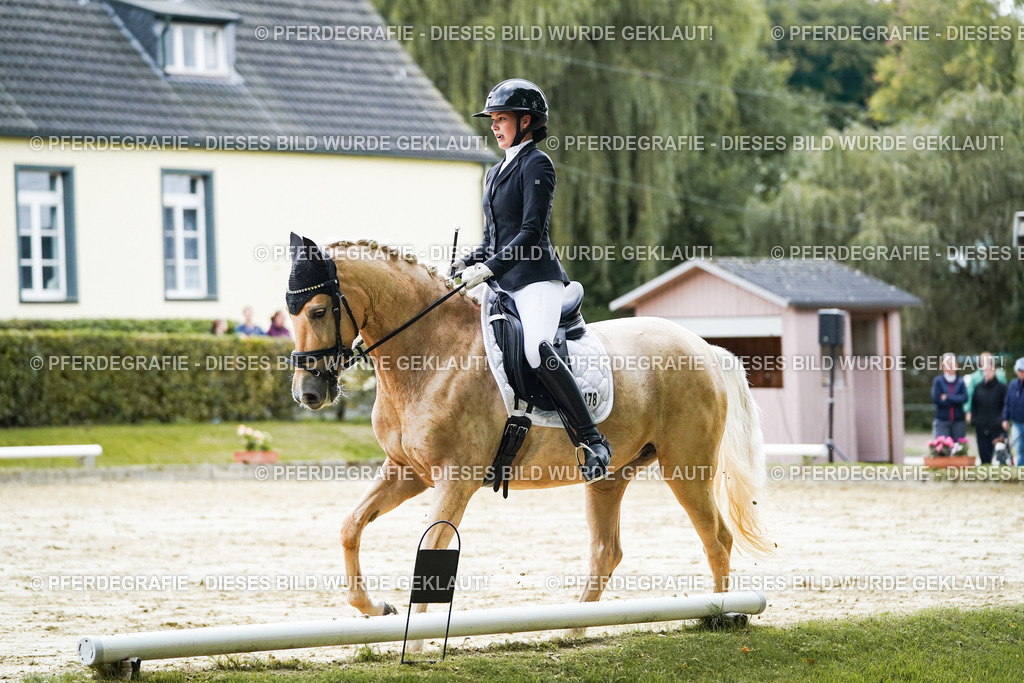 DSC06756 | Pferdegrafie