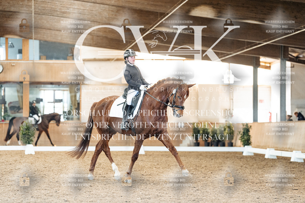 CK908341 | Turnierfotografie Pferdefotografie Trier Rheinland-Pfalz Pferdesport Reitsport Tierfotografie Sportfotografie Pferdevideo Pferdevideografie Equestrianvideography equestrianphotography  - Realisiert mit Pictrs.com