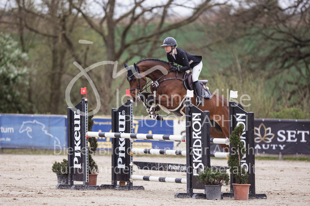 250417_Springpferde-L2-314 | Deine schönsten Turniermomente als professionelle Fotos! Entdecke hochwertige Pferdesport-Fotografie im Online-Shop. Jetzt Fotos finden & bestellen!