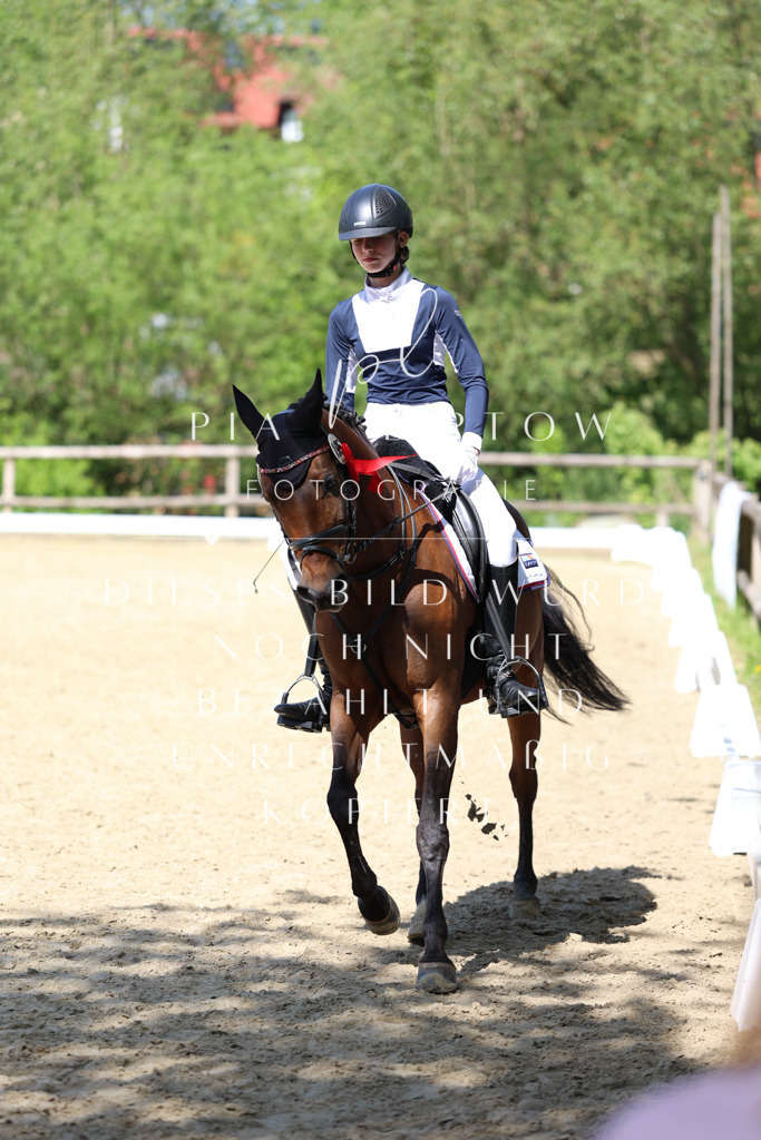 IMGS4320 | pl-fotografie