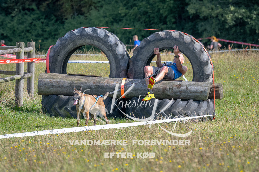 1136_ZZ90425 | kk-dogfotos