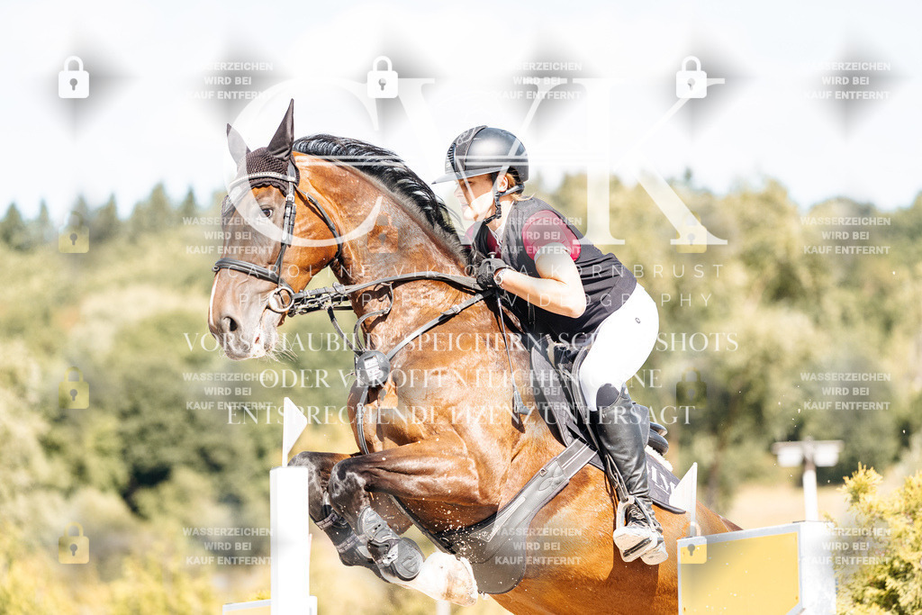 CK909124 | Turnierfotografie Pferdefotografie Trier Rheinland-Pfalz Pferdesport Reitsport Tierfotografie Sportfotografie Pferdevideo Pferdevideografie Equestrianvideography equestrianphotography  - Realisiert mit Pictrs.com