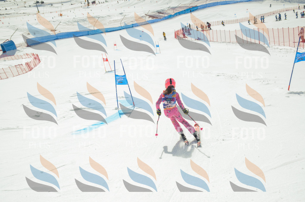 _ELE4667 | holidayphoto