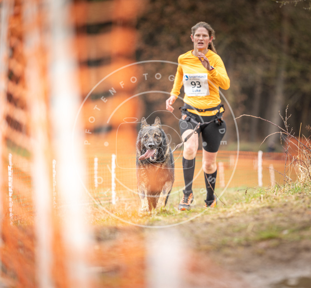 DV3A0460 | Hundefotografie, Tierfotograf, Pfotenfotografie, Fotoshooting Hund, Hunde Portrait, Hundesport, Hundeportraits, Heideshooting, Hunde, Sportfotograf, Hundefotograf, Turnierhundsport, THS,  - Realisiert mit Pictrs.com