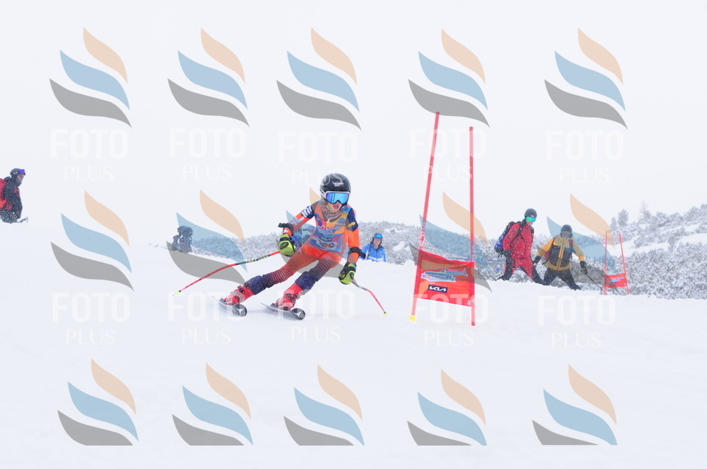 C4117 | holidayphoto