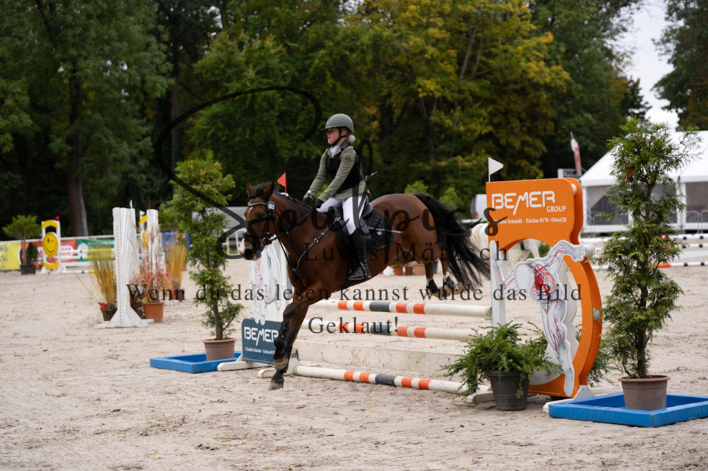 A7V08406 | Pferdefotograf