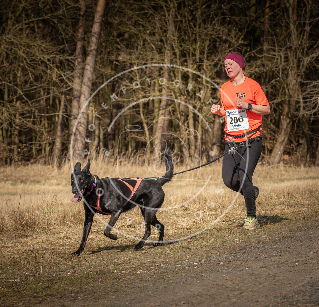 DV3A5833 | Hundefotografie, Tierfotograf, Pfotenfotografie, Fotoshooting Hund, Hunde Portrait, Hundesport, Hundeportraits, Heideshooting, Hunde, Sportfotograf, Hundefotograf, Turnierhundsport, THS,  - Realisiert mit Pictrs.com